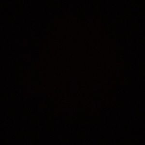 Meet your Posher, Lilly